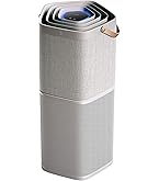 【新品未使用】エレクトロラックス　空気清浄機 ウイルス　ホコリ imgrc0106069956.jpg